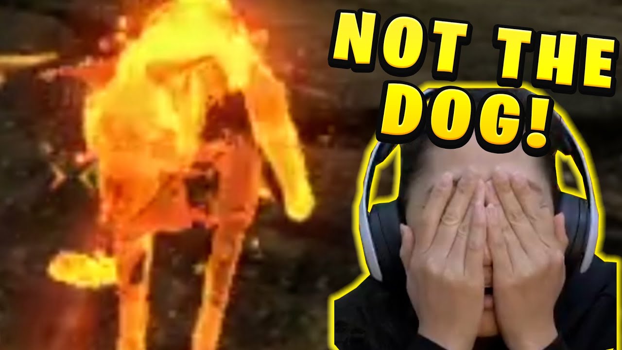 LET ME MAKE FRIENDS WITH THE ENEMY -  Fallout New Vegas