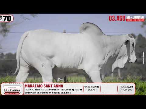 LOTE 70   CJCJ 16118