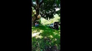 Aslan Gedebeyli saz solo