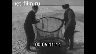 1959г. колхоз Путь Ленина Кемский район Карелия