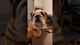 Sometimes Most Times Im Impatient And Want Up On Couch Now