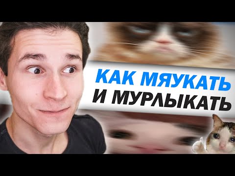 Как научиться МЯУКАТЬ, МУРЛЫКАТЬ и МУРЧАТЬ как кошка | как пародировать голоса и звуки животных. КОТ