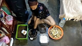Basket Composting EPP 4 