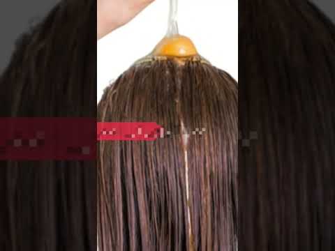 فوائد البيض للشعر