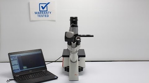 Leica DMi1 Inverted Phase Contrast Microscope [BOSTONIND] - 44941