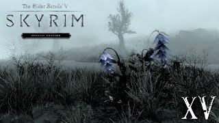 Finding Helgi | Skyrim Special Edition Walkthrough [15]