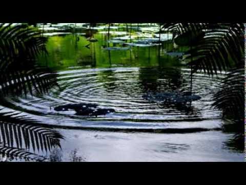 Would You Marry Me - Chris Babida