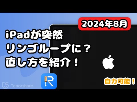 iPad8世代32G りんごループ　ジャンク品 iPad8世代32G りんごループ ジャンク品