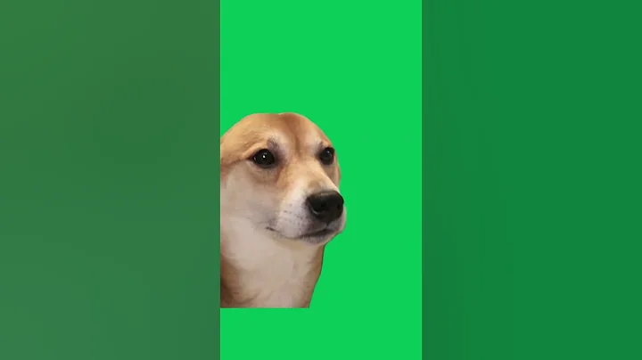 Green Screen I'm Listening Dog Meme | Confused Nodding Agree Dog Meme (COPYRIGHT FREE) #shorts