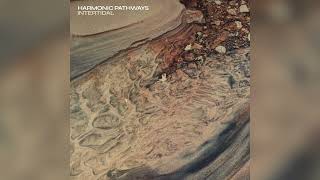 Harmonic Pathways - Crepuscular Topography