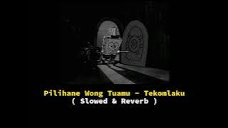 Pilihane Wong Tuamu - Tekomlaku ( Slowed & Reverb )