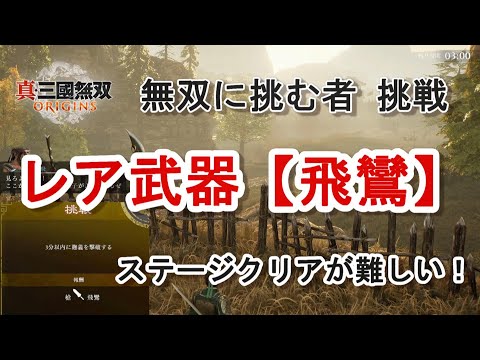 【攻略】無双に挑む者 挑戦 槍のレア武器【飛鸞】ステージクリアが難しい!3章 界橋の戦い 真・三國無双ORIGINS