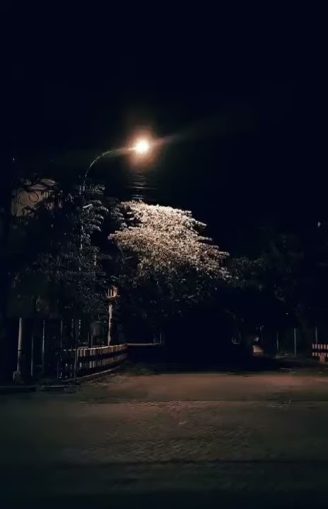 Story wa good night kata kata bijak