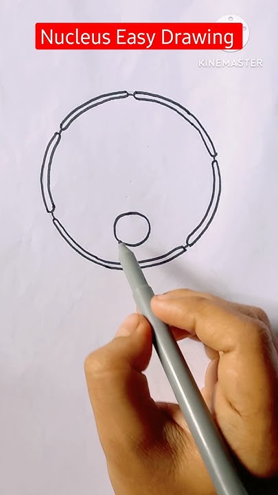 Nucleus Drawing Easy and Simple #shorts #youtubeshorts #reels #viral # ...