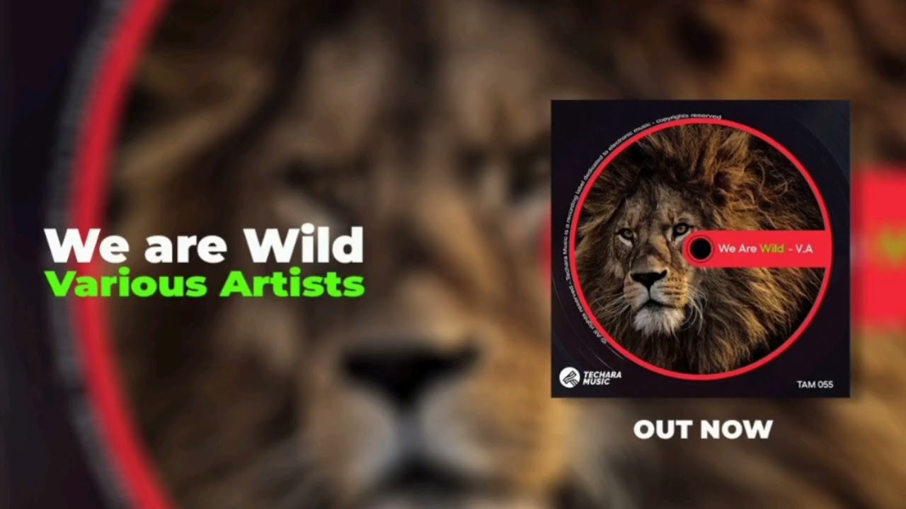 Watch Junior Avila, Jouv - Middle - We are Wild (V.A) on YouTube Watch Junior Avila, Jouv - Middle - We are Wild (V.A) on YouTube