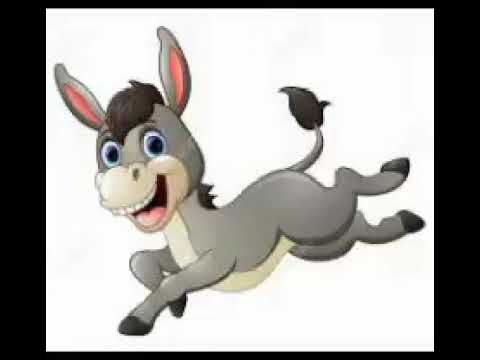 Donkey donkey sound - YouTube