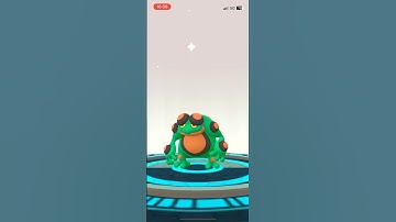 🐸🪷 Shiny Tympole evolves to Palpitoad & Seismitoad 💚🧡 #pokemongo #shinylivingdex #unova ✨