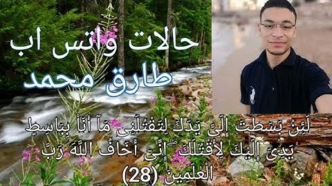 حالات واتس اب القارئ طارق محمد سورة المائدة تلاوة بصوت عذب"إني أخاف الله رب العالمين"