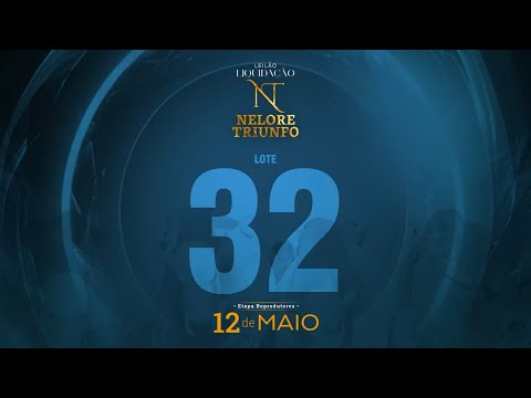 LOTE 32 - MACF 668