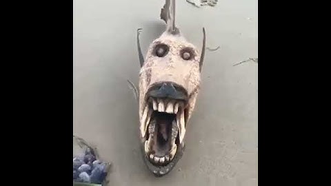 الله خالق كل شي - اجمل حالات واتس اب قران كريم بصوت جميل جدا