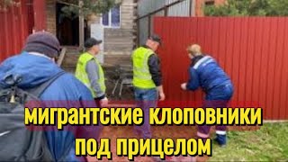 СК громит незаконные хостелы в Московской области