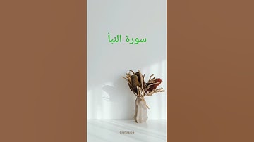 سوره النبا للشيخ الجزائري عبد العزيز سحيم