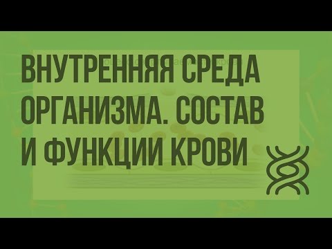 Внутренняя среда организма. Состав и функции крови. Видеоурок по биологии 8 класс