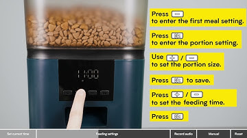 How to Program oneisall Automatic Pet Feeder