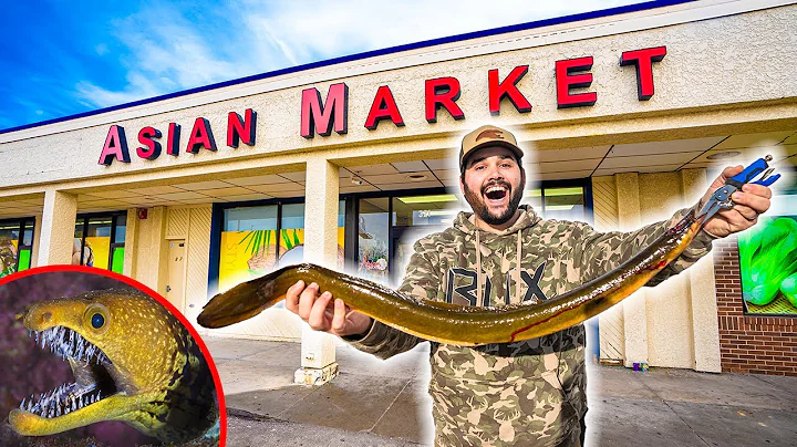 POISONOUS EEL Asian Market EXOTIC Catch Clean Cook!!! (Will We Die?) - DayDayNews
