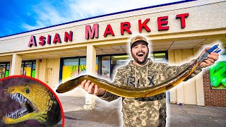 POISONOUS EEL Asian Market EXOTIC Catch Clean Cook!!! (Will We Die?)