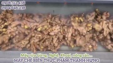 MÁY RỬA, CHÀ VỎ GỪNG NGHỆ  - MÁY RỬA KHOAI - MÁY RỬA TRÁI CÂY, CỦ NÔNG SẢN HIỆU QUẢ