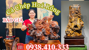 Báo Giá 2 Mẫu Tượng Cá Chép Hoá Rồng Gỗ Nu Huyết Long và Gỗ Lũa Sụn Bách Xanh Độc Đáo| 0938410333