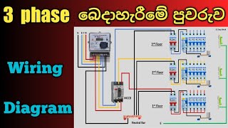 How to wire 3 phase distribution board | three phase DB box | Wiring diagram Sinhala.