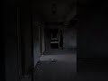 Walking the Hartwood Corridors #abandonedscotland