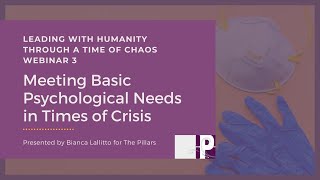 Meeting  Basic Psychological Needs In Times Of Crisis