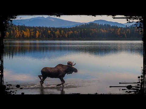 วีดีโอ: การเดินป่าที่ดีที่สุดในอุทยานแห่งชาติ Fiordland