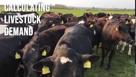 Guide to Grazing Management - Calculating Livestock Demand