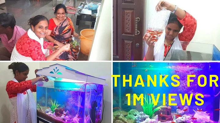 First Time Ivlo  Vaangi Fish Tank la Potrukom  | A...