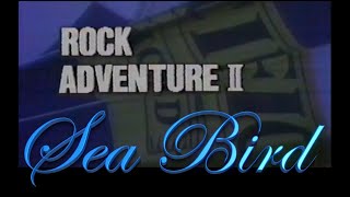 RockAdventureⅡ #SeaBird