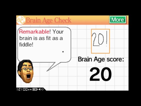 Brain Age: Express (Arts) DSi - Getting a 20! (Best Possible Score) [60fps]