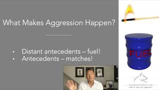 Effectively Working Aggression Cases Video #3