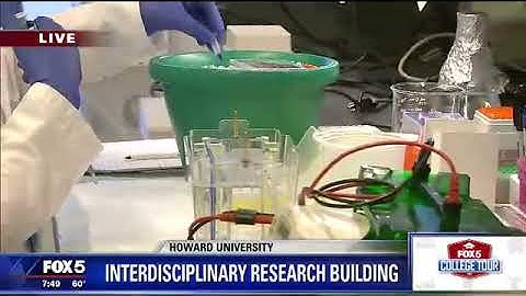 Hemayet Ullah Lab Research at Howard University, Washington, DC.