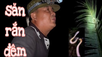 #48 săn bắt rắn đêm mùa nước nổi mới nhất #huunghivlog