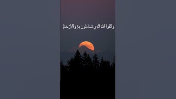 دقيقة من القرآن الكريم بصوت الشيخ ماهر المعيقلي سورة آل عمران #قرآن #religion #قرآن_كريم #قران