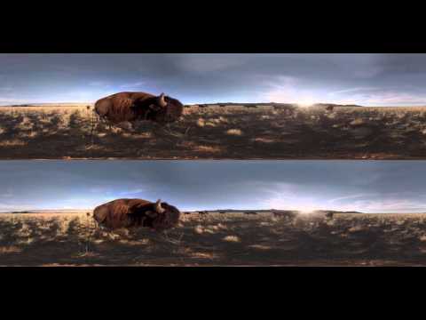 Amazing Interactive Antelope Island Bison 360-Degree Experience - Visit Utah