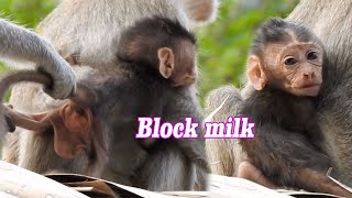 Skinny Donald low power, Hungry need milk |Poor baby try hurt request milk, Why mom block milk baby?