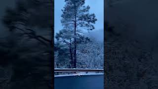 Winter time in Sedona Arizona ❤️ #arizona #sedona #march2024