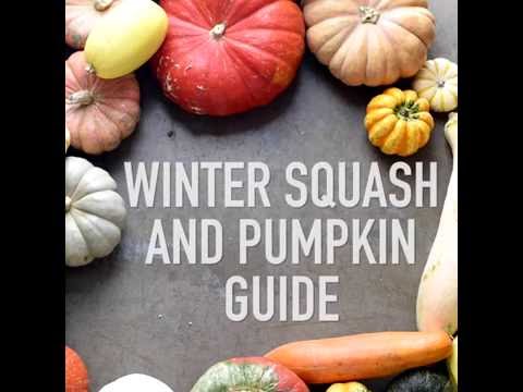 Squash Variety Chart