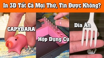 Thử in 3D mô hình Capybara, Hộp để dụng cụ , Dĩa ăn uống được luôn nha | Long 3D Printing