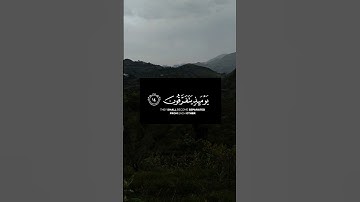 ويوم تقوم الساعة يومئذ يتفرقون/سورة الروم/الشيخ ياسر الدوسري
